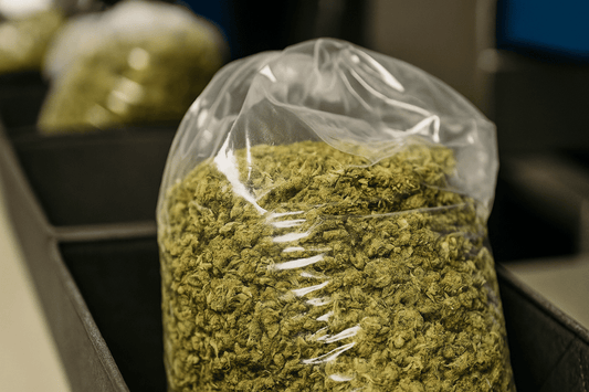 image showing line of bulk thca flower in turkey bags