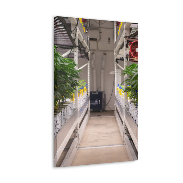 Double Decker Grow Room Canvas