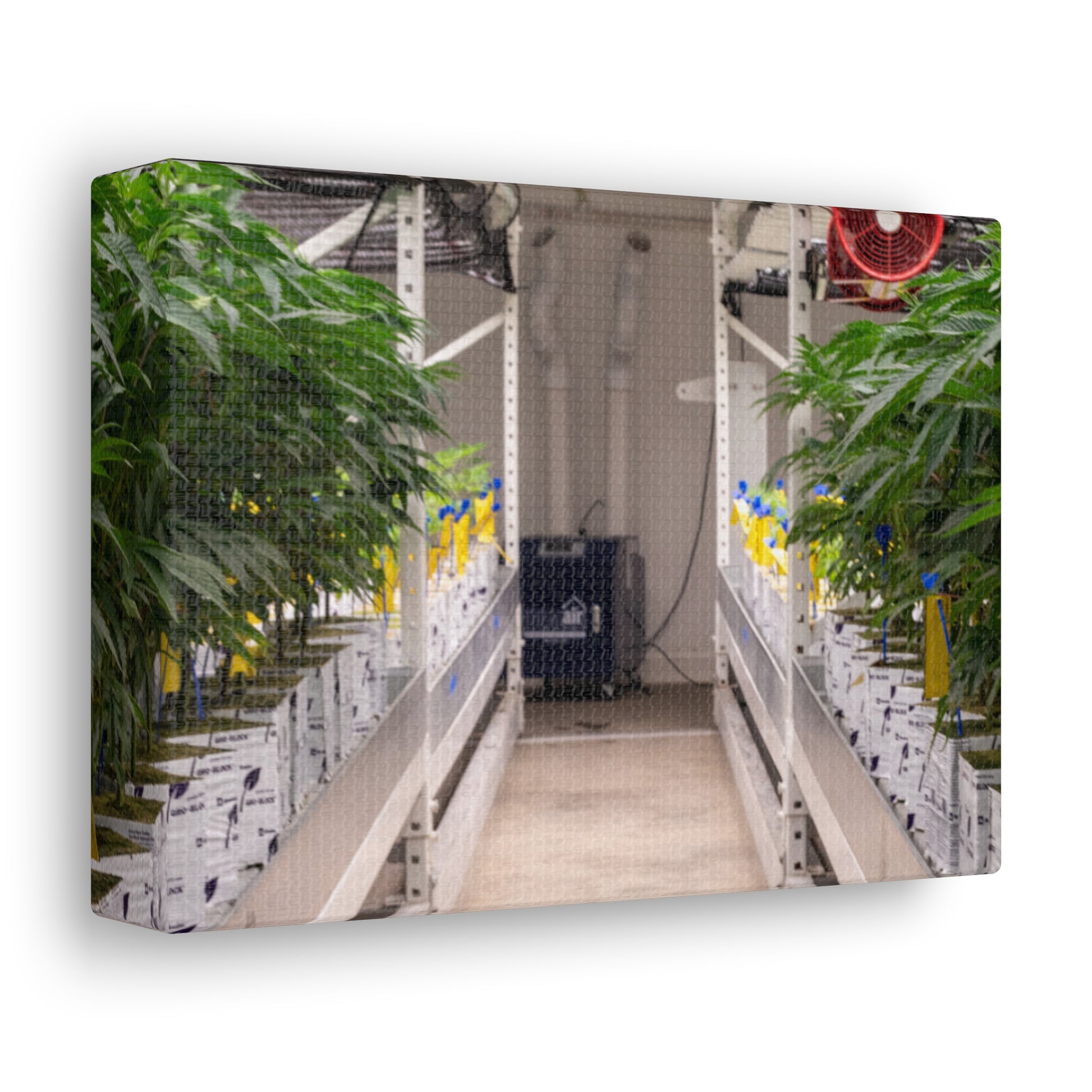 Double Decker Grow Room Canvas