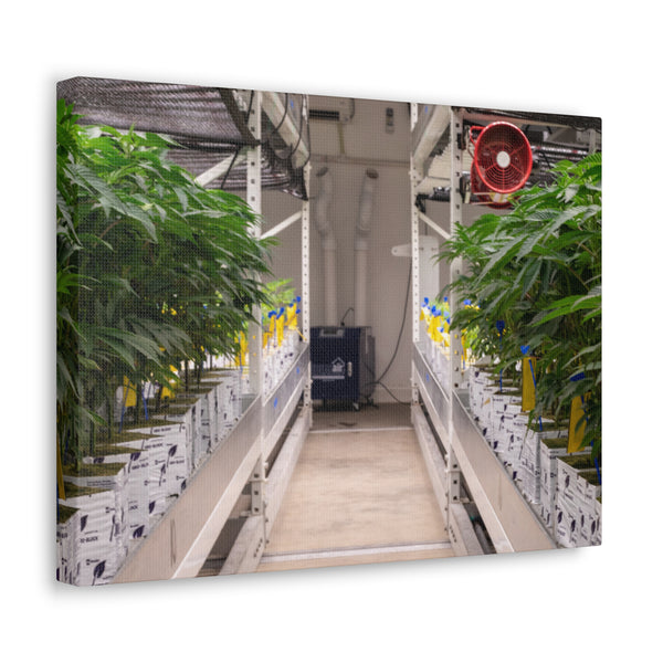 Double Decker Grow Room Canvas