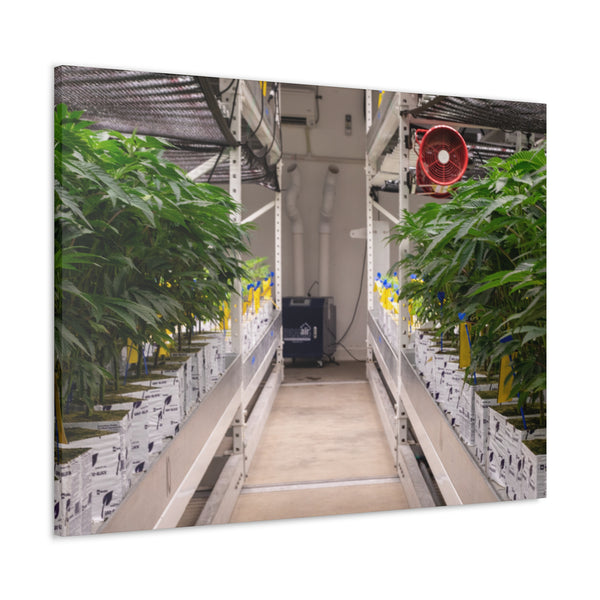 Double Decker Grow Room Canvas