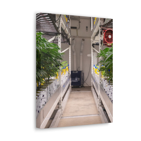 Double Decker Grow Room Canvas