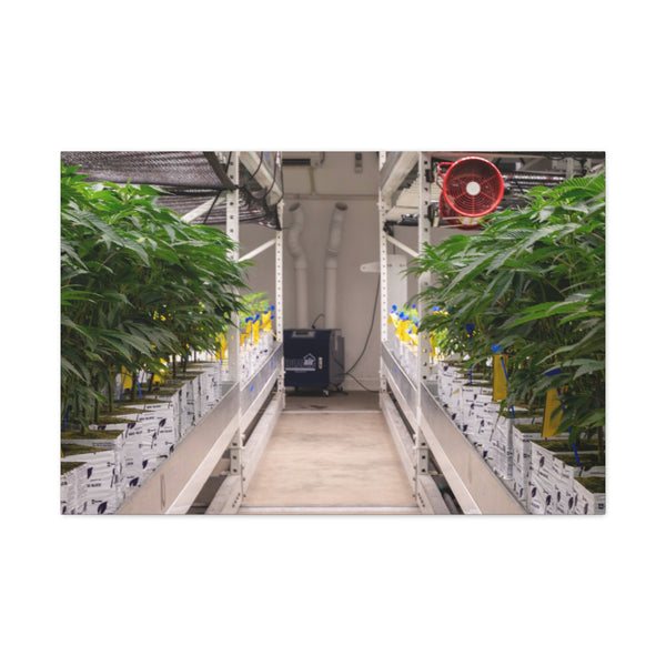 Double Decker Grow Room Canvas