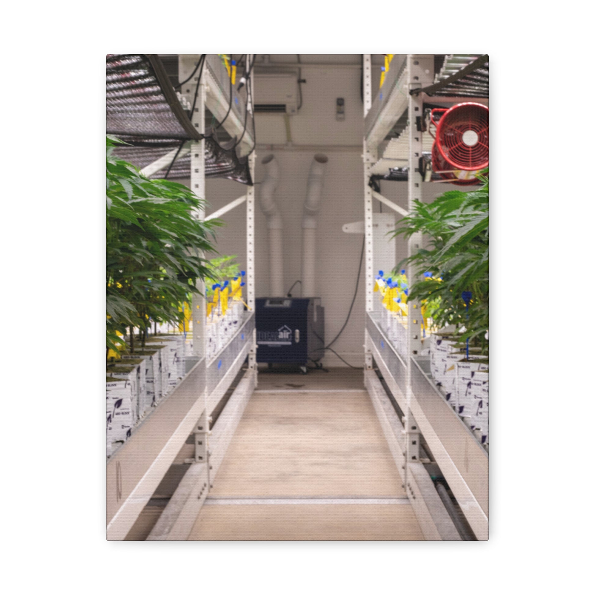 Double Decker Grow Room Canvas