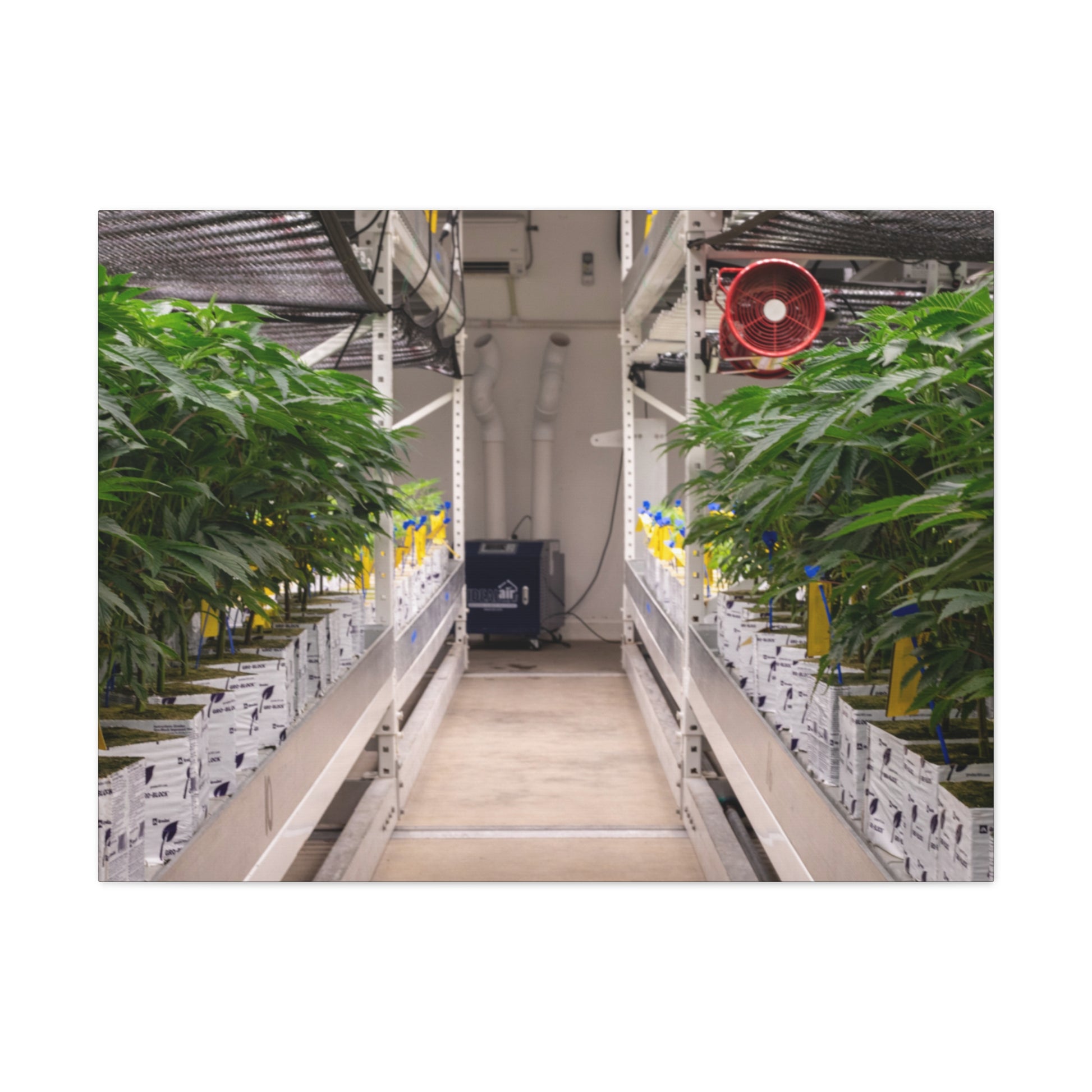 Double Decker Grow Room Canvas