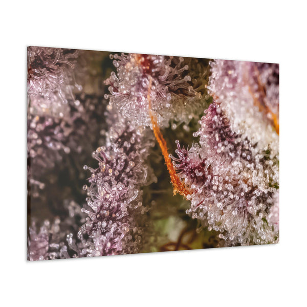 Trop Cherry Trichome Canvas