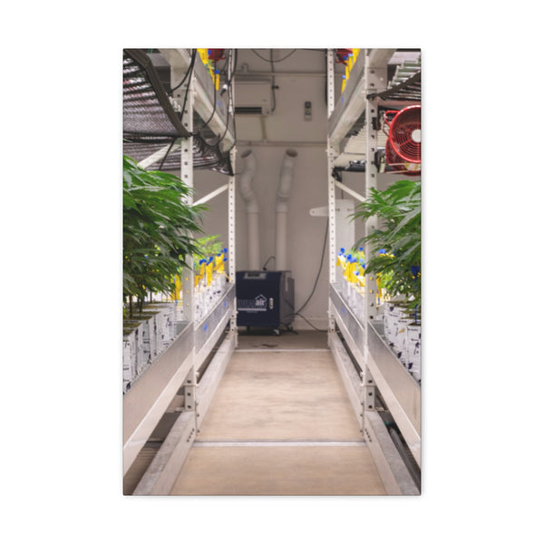 Double Decker Grow Room Canvas