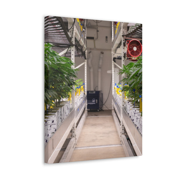 Double Decker Grow Room Canvas