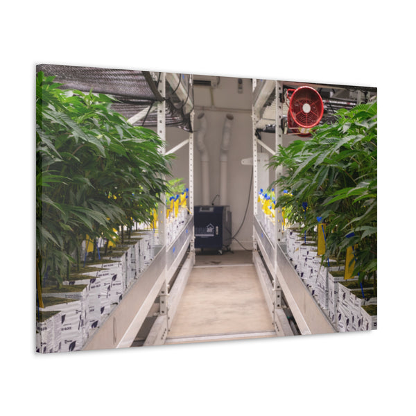 Double Decker Grow Room Canvas