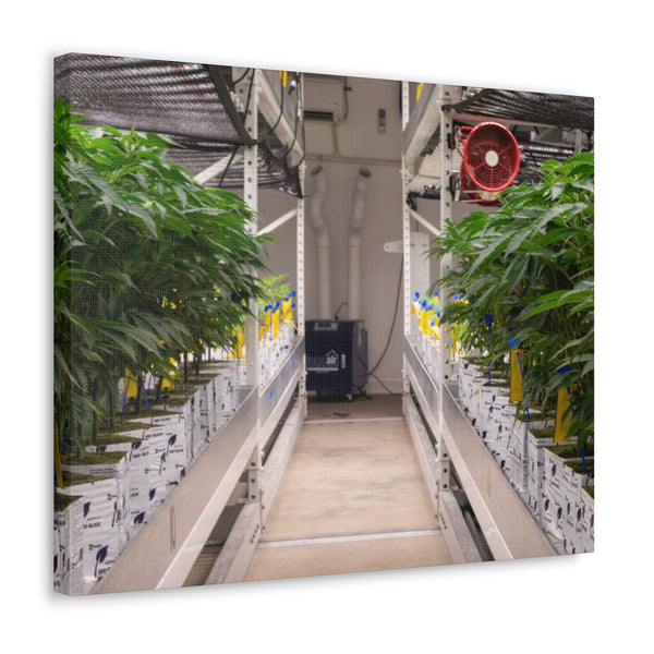 Double Decker Grow Room Canvas